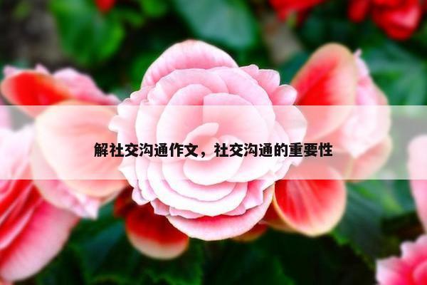 解社交沟通作文，社交沟通的重要性
