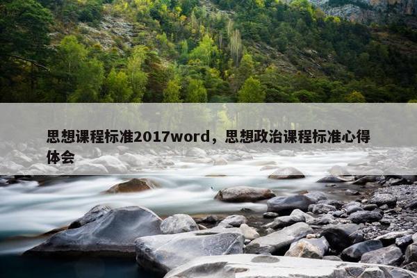 思想课程标准2017word，思想政治课程标准心得体会