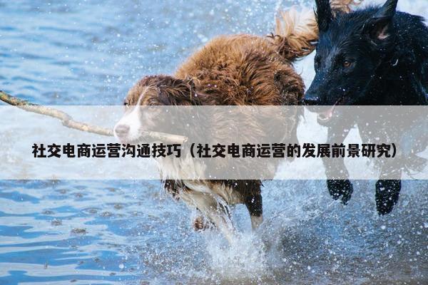 社交电商运营沟通技巧（社交电商运营的发展前景研究）
