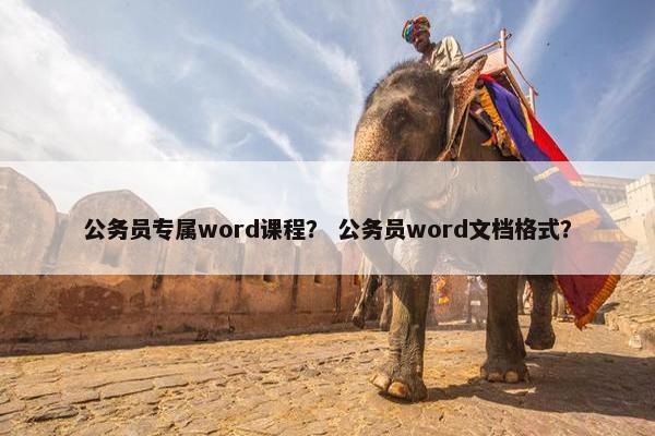 公务员专属word课程？ 公务员word文档格式？