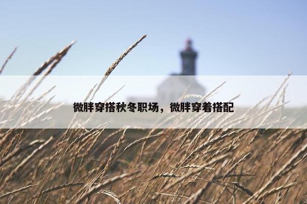 微胖穿搭秋冬职场，微胖穿着搭配