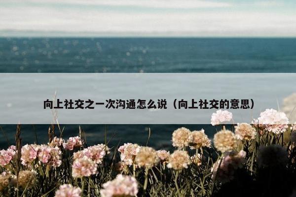 向上社交之一次沟通怎么说（向上社交的意思）