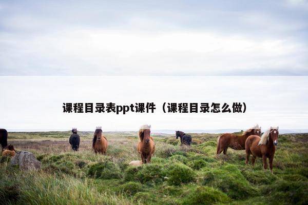课程目录表ppt课件（课程目录怎么做）
