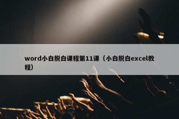 word小白脱白课程第11课（小白脱白excel教程）