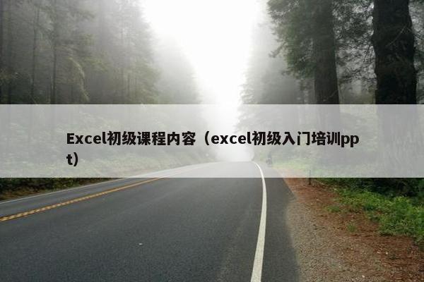 Excel初级课程内容（excel初级入门培训ppt）