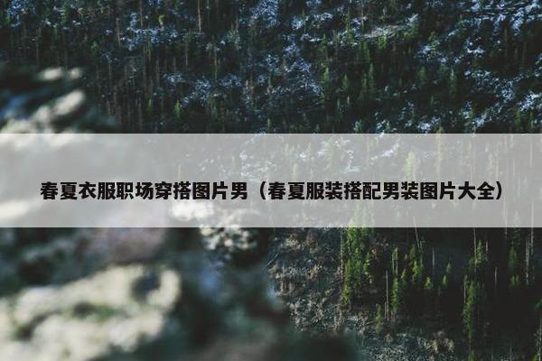 春夏衣服职场穿搭图片男（春夏服装搭配男装图片大全）