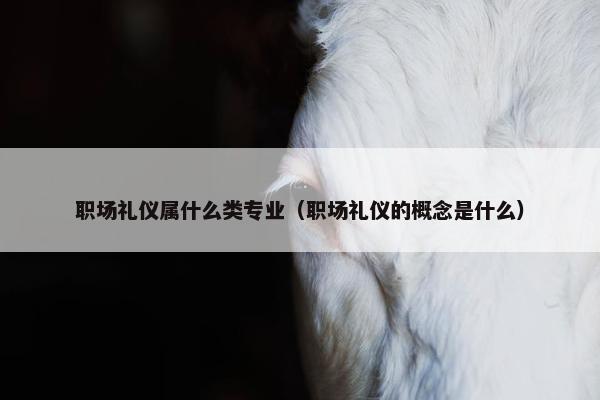 职场礼仪属什么类专业（职场礼仪的概念是什么）
