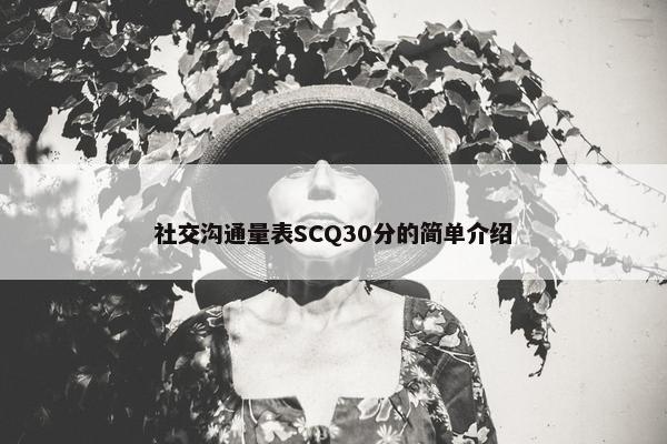 社交沟通量表SCQ30分的简单介绍