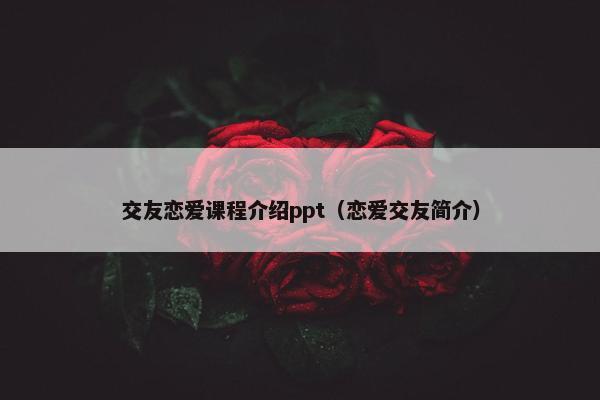 交友恋爱课程介绍ppt（恋爱交友简介）