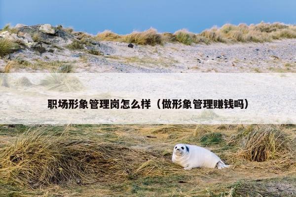 职场形象管理岗怎么样（做形象管理赚钱吗）