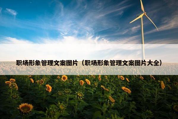 职场形象管理文案图片（职场形象管理文案图片大全）