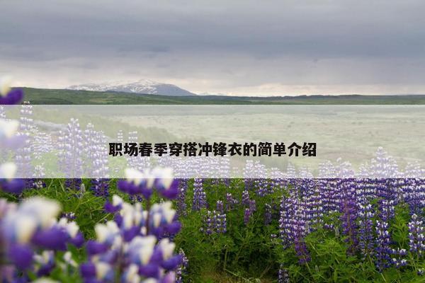 职场春季穿搭冲锋衣的简单介绍