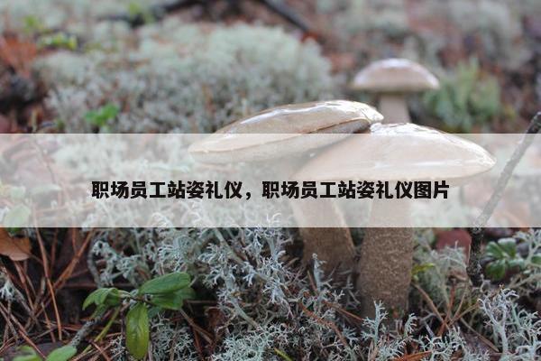 职场员工站姿礼仪，职场员工站姿礼仪图片