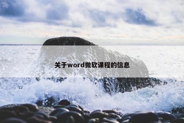 关于word微软课程的信息