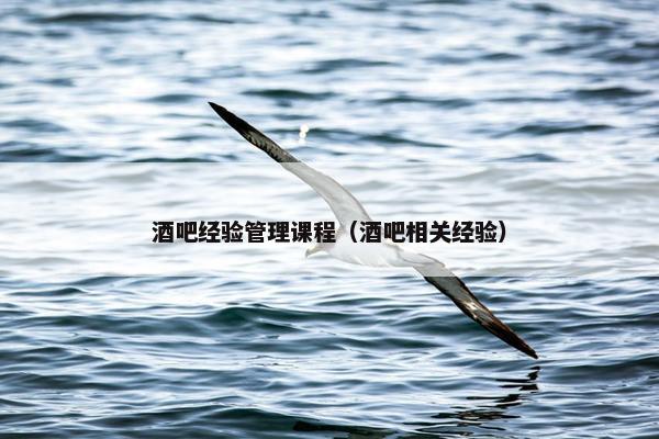酒吧经验管理课程（酒吧相关经验）
