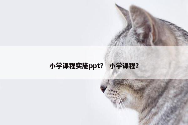 小学课程实施ppt？ 小学课程？