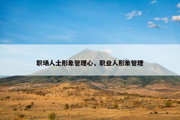 职场人士形象管理心，职业人形象管理