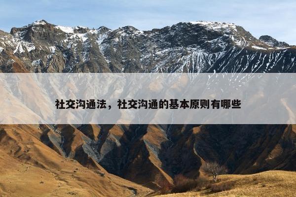 社交沟通法，社交沟通的基本原则有哪些
