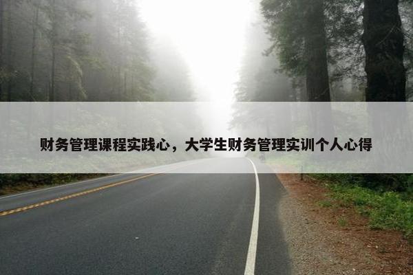 财务管理课程实践心，大学生财务管理实训个人心得