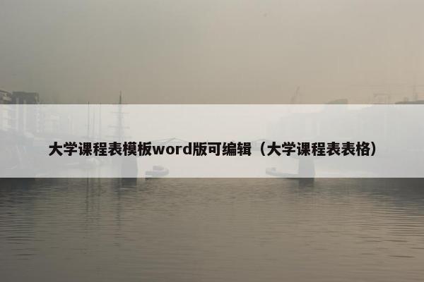 大学课程表模板word版可编辑（大学课程表表格）