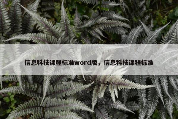 信息科技课程标准word版，信息科技课程标准