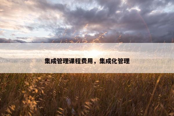 集成管理课程费用，集成化管理