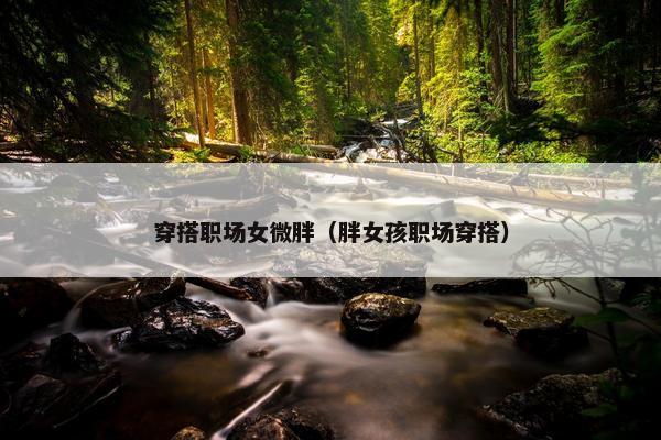 穿搭职场女微胖（胖女孩职场穿搭）
