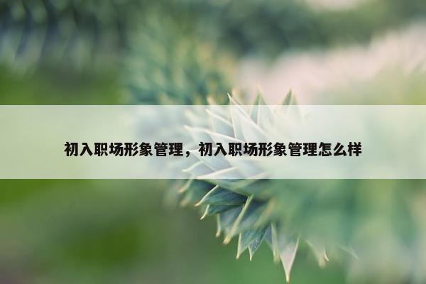 初入职场形象管理，初入职场形象管理怎么样