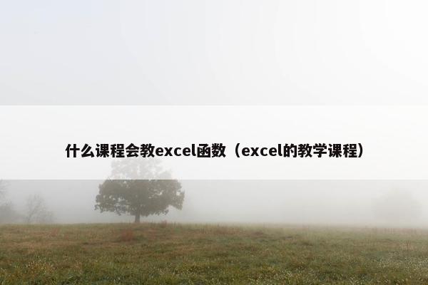 什么课程会教excel函数（excel的教学课程）
