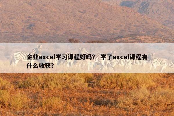 企业excel学习课程好吗？ 学了excel课程有什么收获？