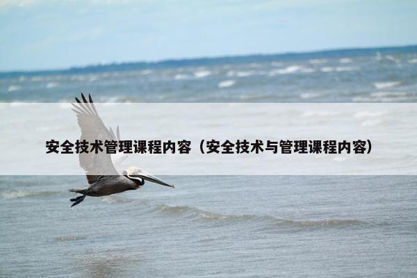 安全技术管理课程内容（安全技术与管理课程内容）