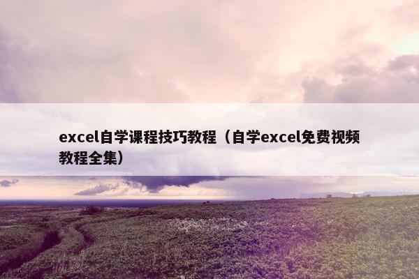 excel自学课程技巧教程（自学excel免费视频教程全集）