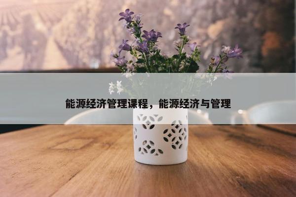 能源经济管理课程，能源经济与管理