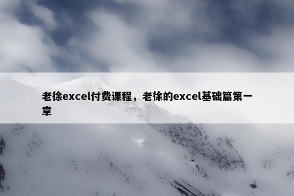 老徐excel付费课程，老徐的excel基础篇第一章