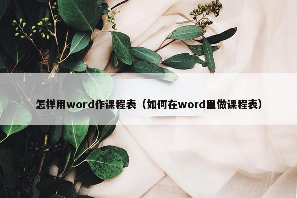 怎样用word作课程表（如何在word里做课程表）