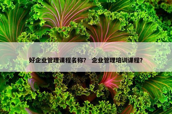 好企业管理课程名称？ 企业管理培训课程？
