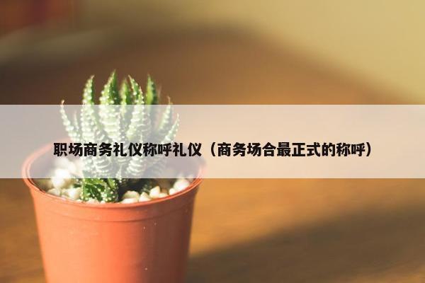 职场商务礼仪称呼礼仪（商务场合最正式的称呼）