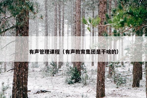 有声管理课程（有声教育集团是干啥的）