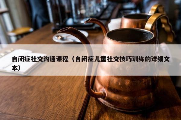 自闭症社交沟通课程（自闭症儿童社交技巧训练的详细文本）