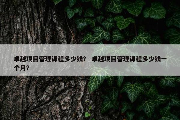 卓越项目管理课程多少钱？ 卓越项目管理课程多少钱一个月？