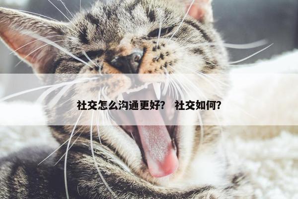 社交怎么沟通更好？ 社交如何？