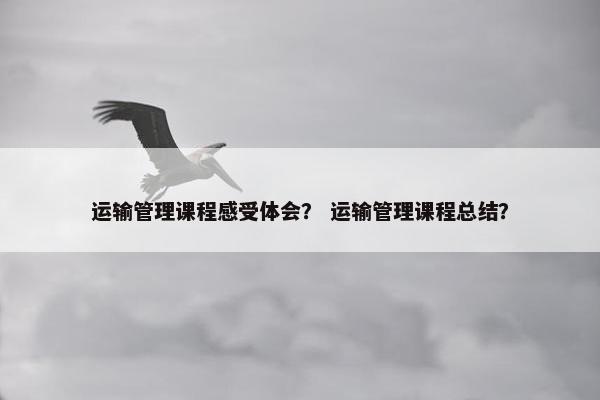 运输管理课程感受体会？ 运输管理课程总结？