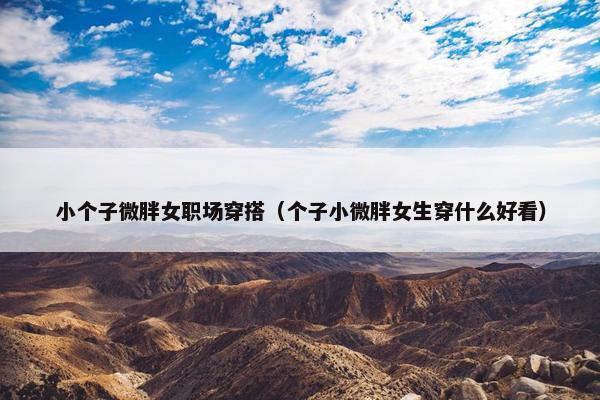 小个子微胖女职场穿搭（个子小微胖女生穿什么好看）