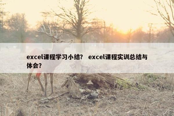 excel课程学习小结？ excel课程实训总结与体会？