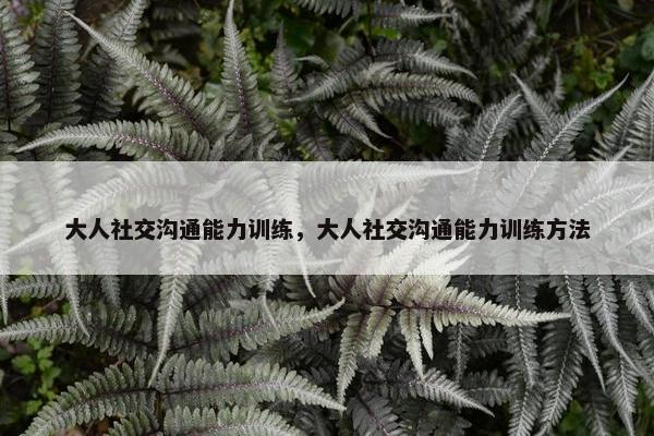 大人社交沟通能力训练，大人社交沟通能力训练方法
