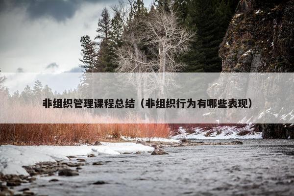 非组织管理课程总结（非组织行为有哪些表现）