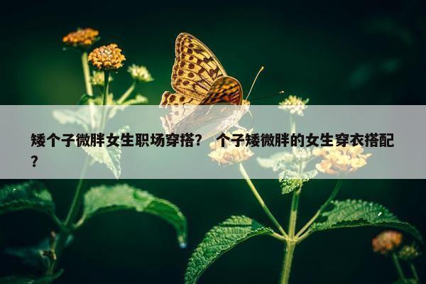 矮个子微胖女生职场穿搭？ 个子矮微胖的女生穿衣搭配？