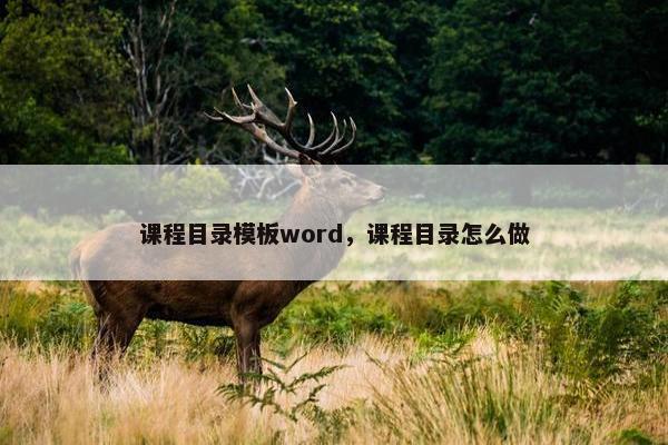 课程目录模板word，课程目录怎么做