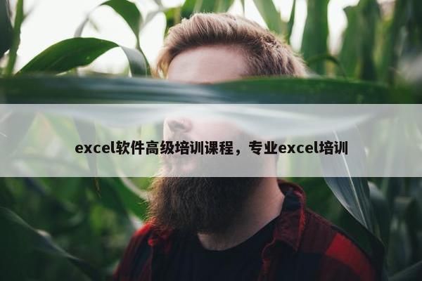 excel软件高级培训课程，专业excel培训