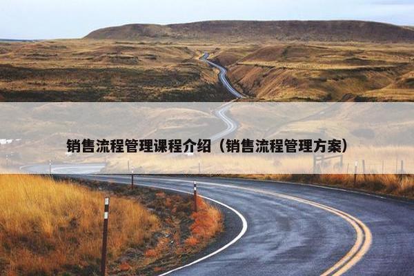 销售流程管理课程介绍（销售流程管理方案）